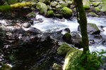 Kyushu_2015_0196