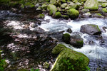 Kyushu_2015_0197