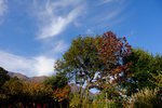 Kyushu_2015_0415