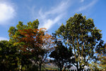 Kyushu_2015_0416