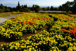 Kyushu_2015_0418