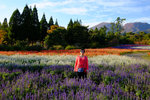 Kyushu_2015_0424
