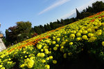 Kyushu_2015_0431