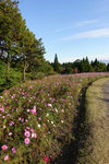 Kyushu_2015_0442