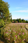 Kyushu_2015_0445