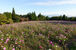 Kyushu_2015_0446