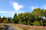 Kyushu_2015_0450