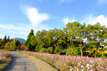Kyushu_2015_0451