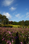 Kyushu_2015_0457