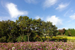 Kyushu_2015_0459