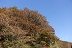 Kyushu_2015_0569