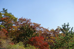 Kyushu_2015_0572