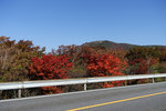 Kyushu_2015_0590