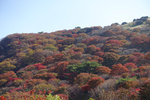 Kyushu_2015_0595