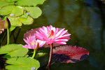 Kyushu_2015_0845