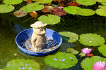 Kyushu_2015_0849