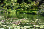 Kyushu_2015_0853