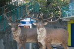 Lamma_Island_04