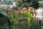 Lamma_Island_24