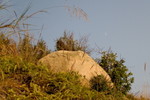 Lamma_Island_27