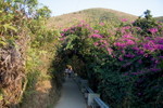 Lamma_Island_28