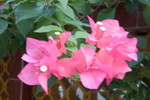 Lamma_Island_51