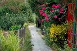 Lamma_Island_52