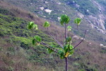 DSCF2438