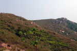DSCF2439