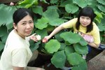 Macau_240