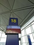 IMG_8605