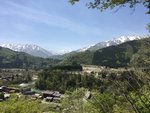 IMG_8794