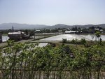 IMG_8800