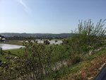IMG_8801