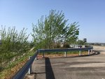 IMG_8802