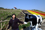 SZ_Chinese_City_2014_008