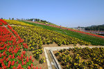 SZ_Chinese_City_2014_010