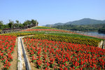 SZ_Chinese_City_2014_023