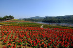 SZ_Chinese_City_2014_024