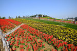 SZ_Chinese_City_2014_026