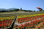SZ_Chinese_City_2014_027