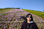 SZ_Chinese_City_2014_032