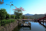 SZ_Chinese_City_2014_036