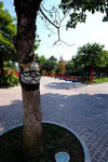 SZ_Chinese_City_2014_060