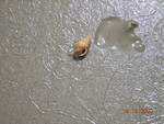 Sabah_007