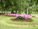 Sabah_008