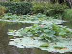 Sabah_021