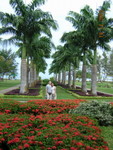 Sabah_089