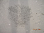 Sabah_104