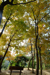 Tai Tong2015_149